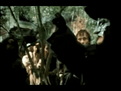 a blurred image of a group of people standing in the woods