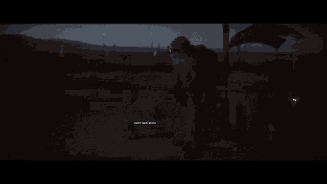 a person is standing in a dark field with a flag in the foreground .