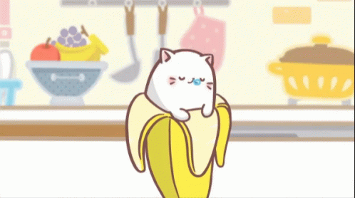 Sleep Kitty GIF - Sleep Kitty Banana GIFs