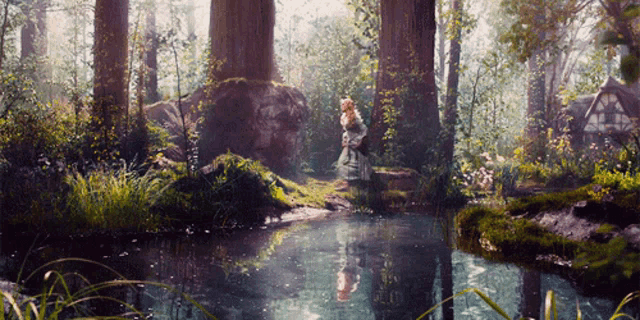 a swamp in the middle of a forest with trees and shrubs
