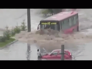 Like A Bus! GIF - Bus Flood Water GIFs
