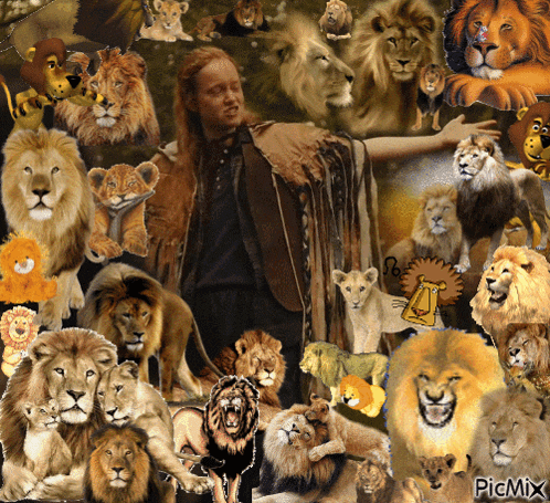 a collage of lions and a man with the word picmix on the bottom right