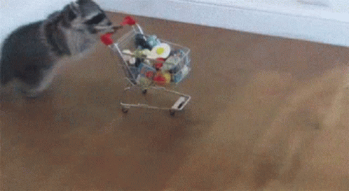 Welcome To GIF - Welcome To Costco GIFs