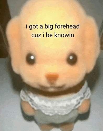 a stuffed animal with the words `` i got a big forehead cuz i be knowin '' on it 's face .