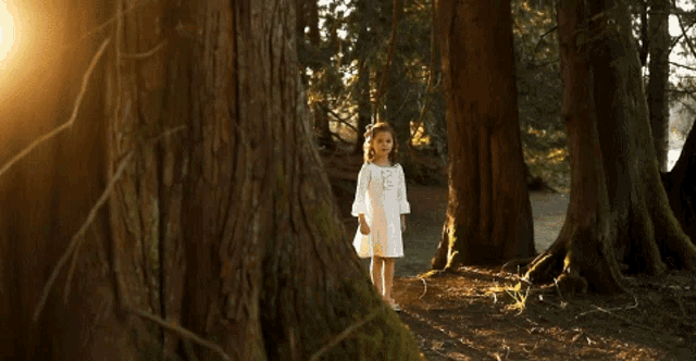 Lost In The Woods Claire Ryann Crosby GIF - Lost In The Woods Claire Ryann Crosby Claire And The Crosbys GIFs