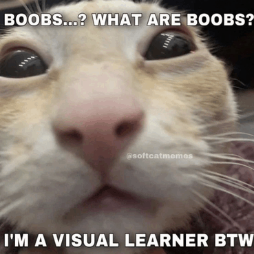 Cat Meme Cat Rizz GIF - Cat Meme Cat Rizz GIFs