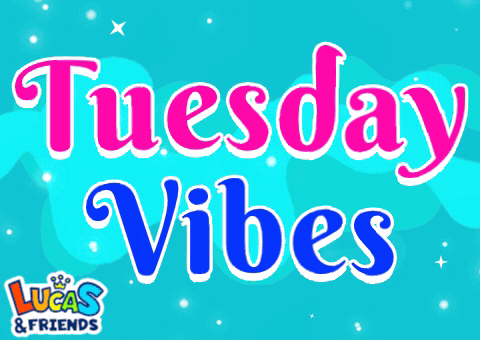 Tuesday Tuesday Vibes GIF - Tuesday Tuesday vibes Its tuesday ...