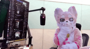 a stuffed animal is sitting in front of a computer