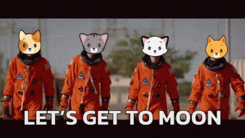 Lets Get To Moon One Direction GIF - Lets Get To Moon One Direction Bad Cats Fight Club GIFs