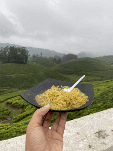 a hand holding a plate of noodles with a spoon