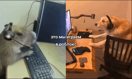 a hamster wearing headphones is playing a video game on a computer .