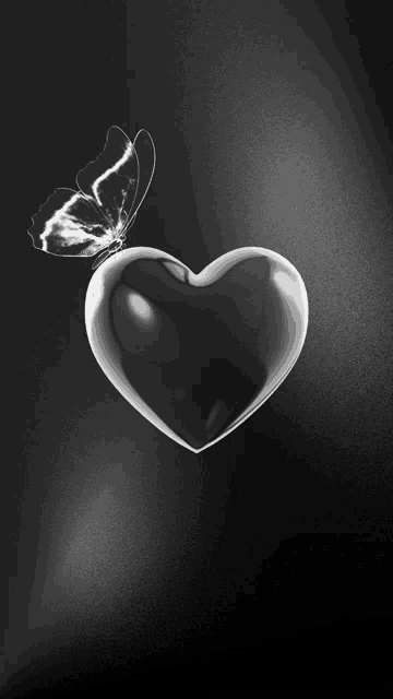 a black heart with a butterfly sitting on top of it
