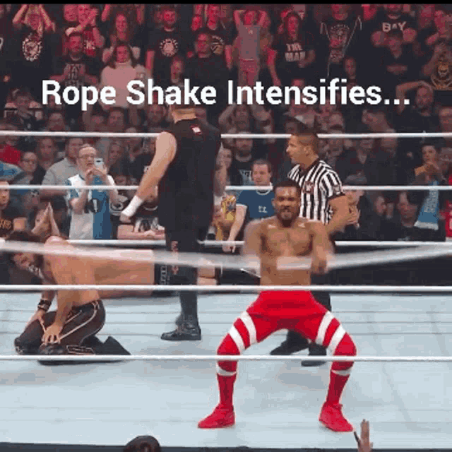 Wwe Ropes Shake GIF - Wwe Ropes Shake Shake It GIFs