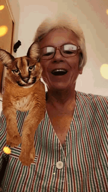 Snapchat Cat GIF - Snapchat Cat Surprise GIFs