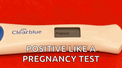 Sml Pregnancy Test GIF - Sml Pregnancy Test Pregnant GIFs