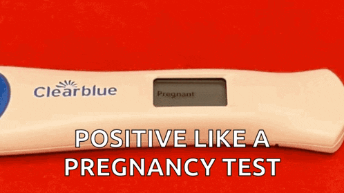 a clearblue pregnancy test shows that the woman is pregnant
