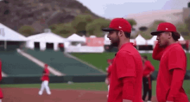 a group of baseball players are standing on a field and talking to each other .