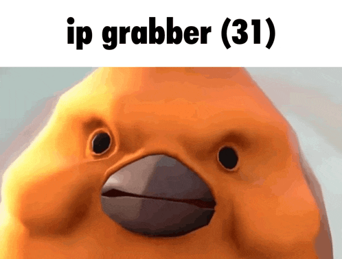 a close up of an orange bird with the words ip grabber ( 31 ) below it