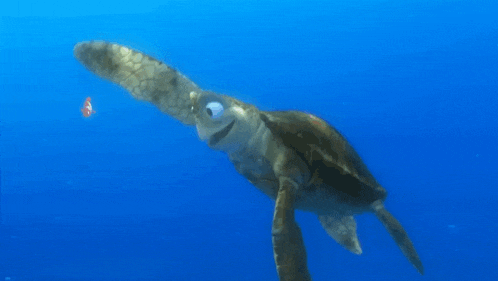 a sea turtle is swimming in the ocean with the letters tu behind it