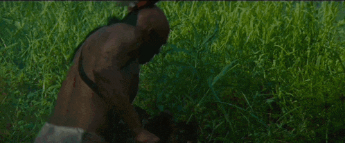a man with a mohawk is standing in a field of tall grass .
