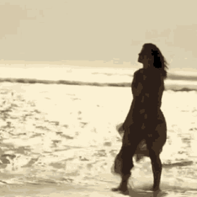 a silhouette of a woman standing on a beach looking at the ocean .