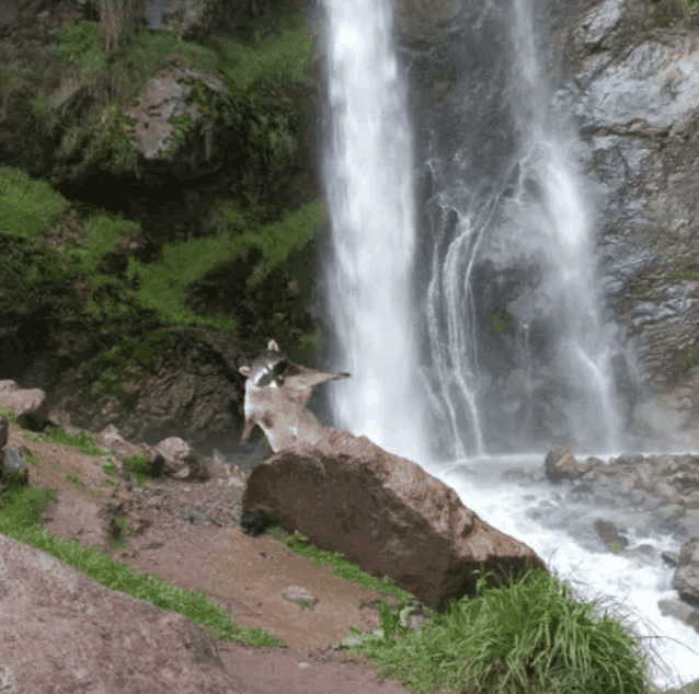 a waterfall is surrounded by rocks and grass