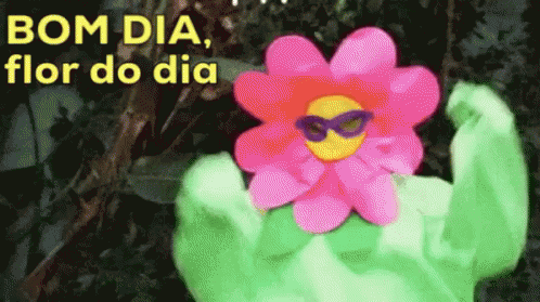 Bom Dia Flor Do Dia / Flores / Fantasia / Animação GIF - Good Morning Flower Flower Excited GIFs