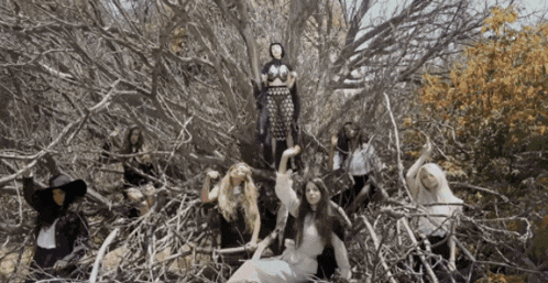 a group of women are posing for a picture in the woods