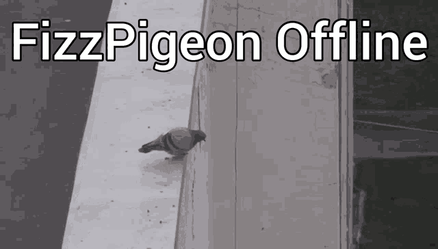 Fizzpigeon GIF - Fizzpigeon GIFs