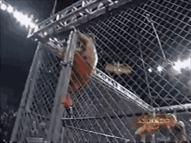 a wrestling match is being held in a cage with a fence .