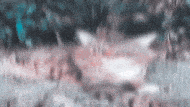 a blurry picture of a person 's face with a blurred background of trees .