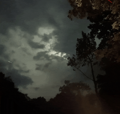 a cloudy sky with trees in the foreground