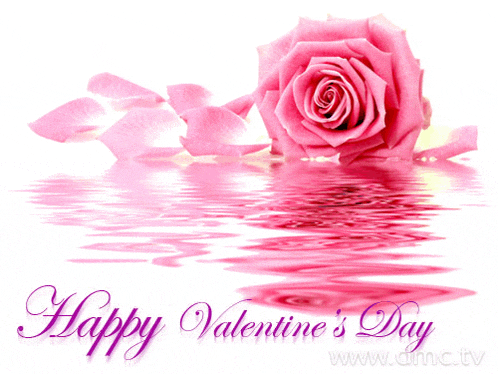 a happy valentine 's day greeting card with a pink rose in the water