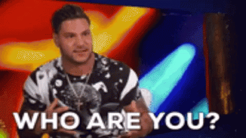 Ronnie Ortiz Magro Who GIF - Ronnie Ortiz Magro Who Are GIFs