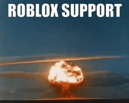 Roblox Roblox Support GIF - Roblox Roblox Support Roblox Hack GIFs
