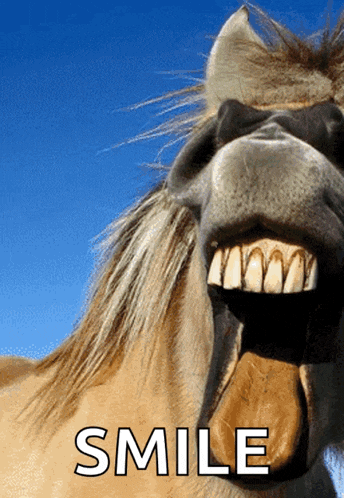 a picture of a horse with its mouth open and the word smile written on it