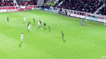 a group of soccer players are playing on a field with a crowd in the stands watching