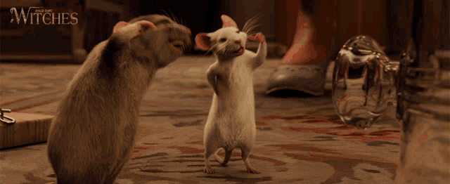 Taunt The Witches GIF