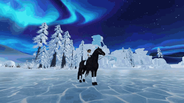 a person riding a black horse in a snowy area