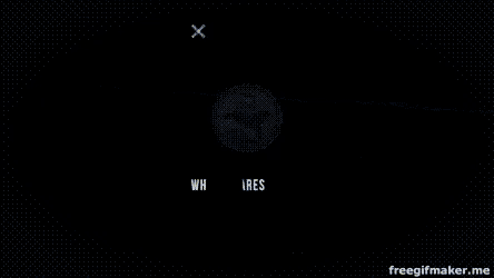 Whale Shares Whale GIF