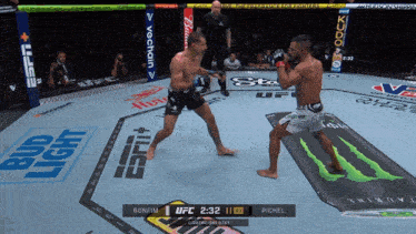 two men are fighting in a ufc ring with bud light and monster on the floor