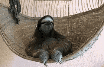 a sloth is laying in a hammock with its eyes closed
