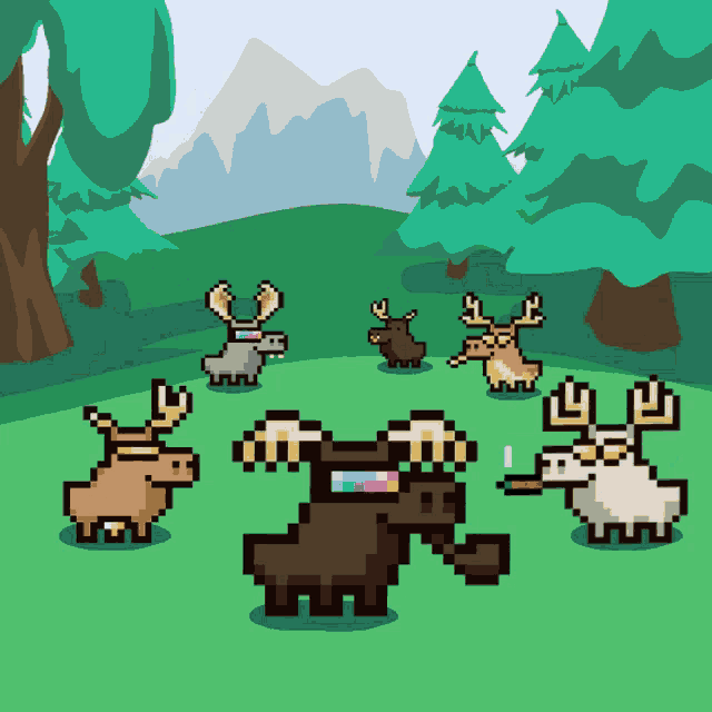 a group of moose are standing on a grassy field