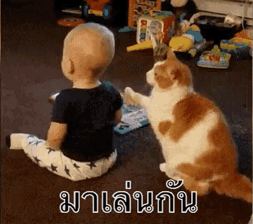 มาเล่นกัน เด็ก แมว GIF - Cat Play With Me Baby GIFs