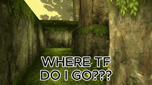 where tf do i go written on a video game screen