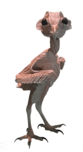 a statue of a bird without feathers is standing on its hind legs