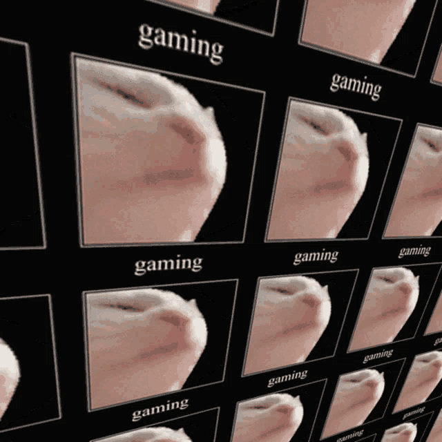 a picture of a cat 's face with the word gaming above it