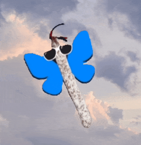 a picture of a butterfly with sunglasses on its wings
