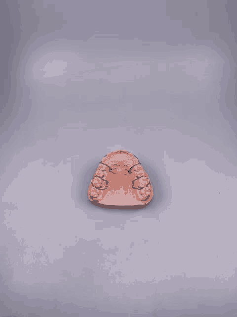 a model of a person 's teeth is sitting on a white surface