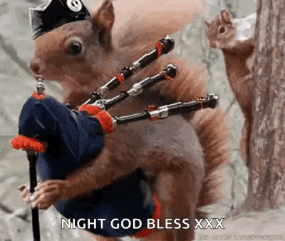 a squirrel is playing a bagpipe while another squirrel watches .